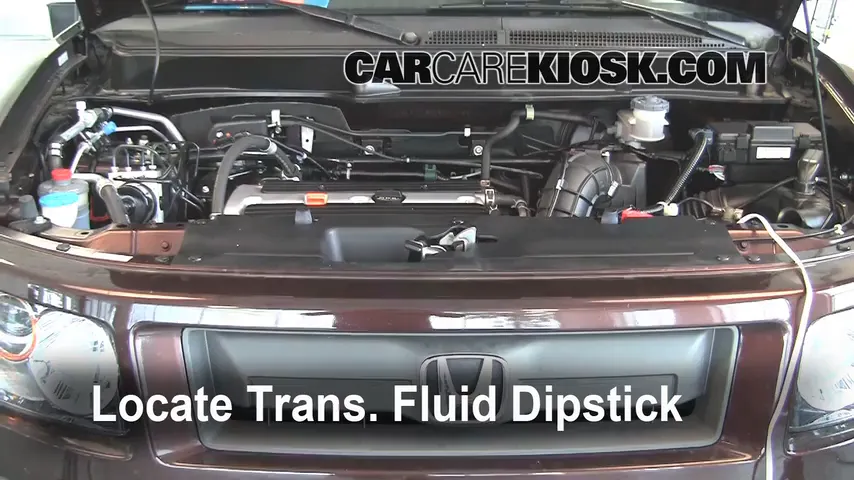 2008 Honda Element SC 2.4L 4 Cyl. Transmission Fluid
